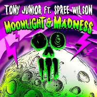 Moonlight & Madness (Feat. Spree Wilson)