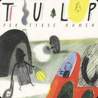 Tulp