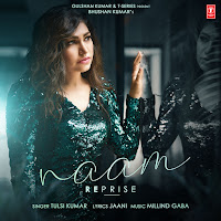 Tulsi Kumar, Millind Gaba