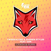 Crash & Burn (Technikore Remix) (Feat. Giin)