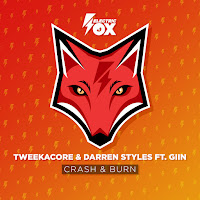 Crash & Burn (Extended Mix) (Feat. Giin)