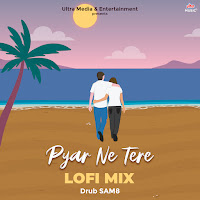 Pyar Ne Tere (Lofi Mix)
