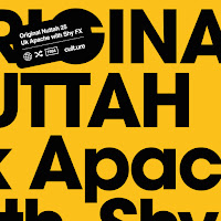 Original Nuttah 25 [Chase & Status Remix] (Feat. Irah)