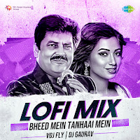 Bheed Mein Tanhaai Mein - Lofi Mix
