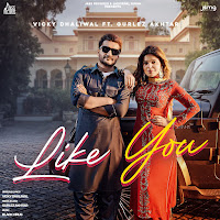 Like You (Feat. Gurlez Akhtar)