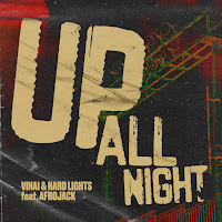 Vinai, Hard Lights