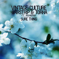 Vintage Culture, Earstrip & Torha