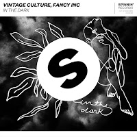 Vintage Culture, Fancy Inc