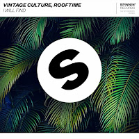 Vintage Culture, Rooftime