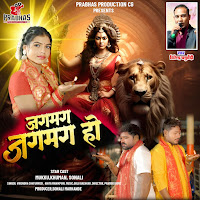 Virendra Chaturvedi, Anita Manikpuri