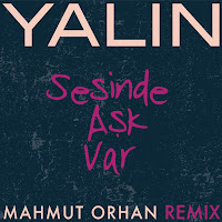 Yalın, Mahmut Orhan