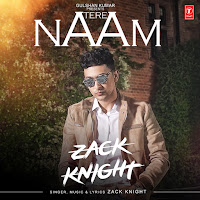 Tere Naam