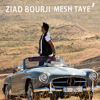 Mesh Taye'
