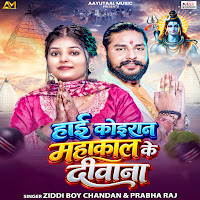 Hai Koiran Mahakal Ke Diwana