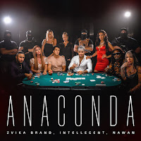 Zvika Brand, Intellegent, Nawan